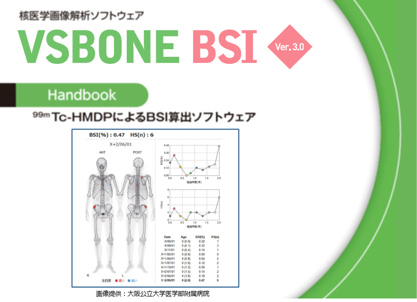 VSBONE_BSI_handbook3.png